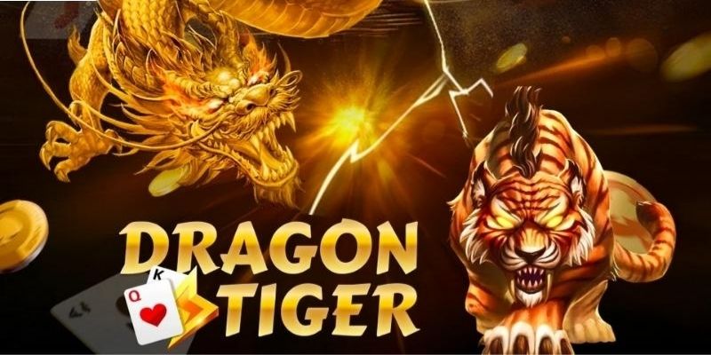 Hướng Dẫn Cách Chơi Rồng Hổ Online Đơn Giản Cùng KING88 8 Kinh nghiệm chơi rồng hổ dễ thắng mà người chơi nên học hỏi