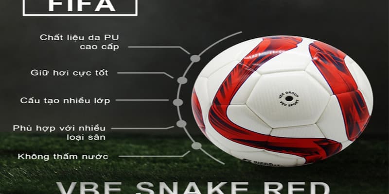 Quả Bóng Tiêu Chuẩn FIFA Có Yêu Cầu, Quy Định Thế Nào? 2 quả bóng tiêu chuẩn FIFA