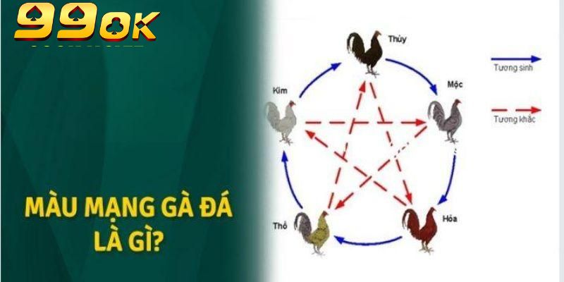 Màu Mạng Đá Gà Theo Ngũ Hành: Chọn Chuẩn – Đá Đỉnh Tại 99OK 6 Gà đen thuộc nhóm màu mạng khá hiếm